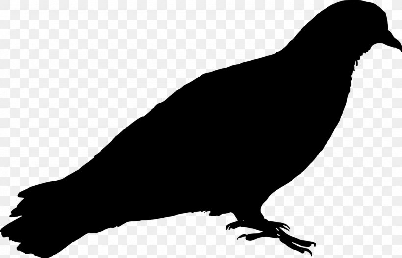 Columbidae Bird Silhouette Racing Homer Clip Art, PNG, 1280x822px, Columbidae, Beak, Bird, Black And White, Crow Download Free