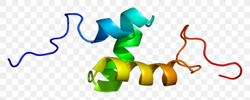 Gene Protein Human UBASH3A Ubiquitin Associated And SH3 Domain Containing, A, PNG, 837x337px, Gene, Cbl, Chromosome, Chromosome 21, Genecards Download Free