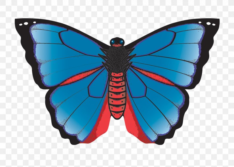 Monarch Butterfly Karner, New York Karner Blue Kite, PNG, 1200x857px, Monarch Butterfly, Arthropod, Blue, Brush Footed Butterfly, Brushfooted Butterflies Download Free