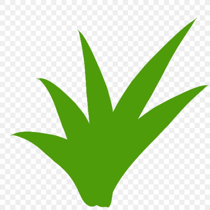 Leaf Clip Art Plant Stem Line Tree, PNG, 1000x1000px, Leaf, Grass, Green, Plant, Plant Stem Download Free