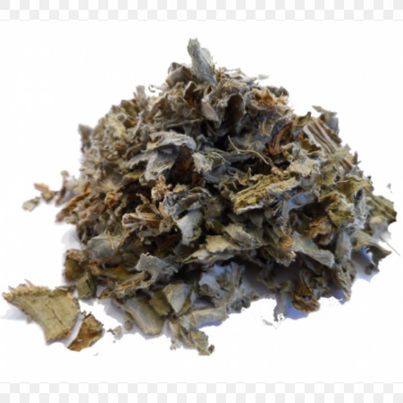 Oolong Nilgiri Tea Green Tea Darjeeling Tea, PNG, 1200x1200px, Oolong, Artichoke, Bai Mudan, Bancha, Bergamot Orange Download Free