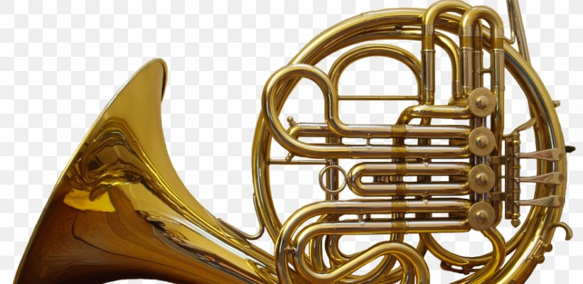 French Horns Musical Instruments Brass Instruments Natural Horn, PNG, 880x430px, Watercolor, Cartoon, Flower, Frame, Heart Download Free