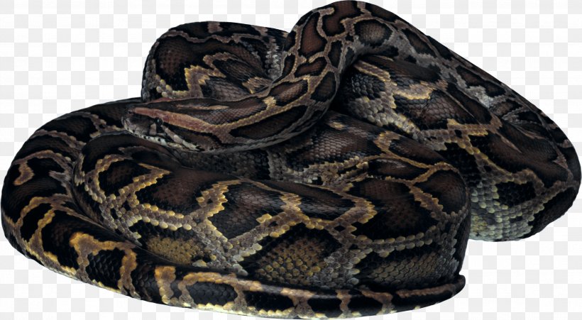 Snake Lizard Reptile Clip Art, PNG, 2598x1432px, Snake, Animal, Boa Constrictor, Boas, Gimp Download Free