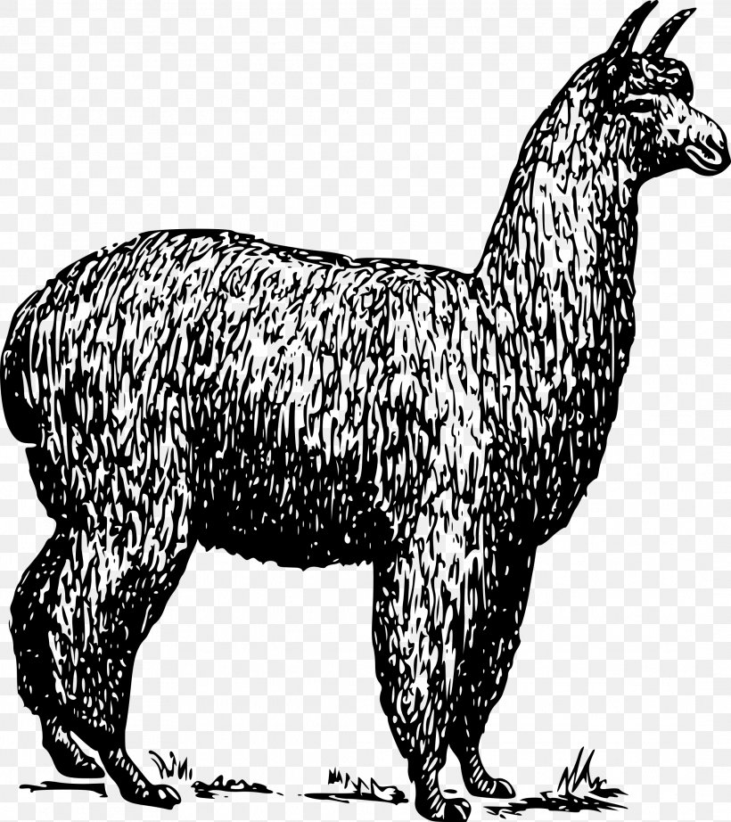 Alpaca Llama Guanaco Clip Art, PNG, 2133x2400px, Alpaca, Alpaca Fiber, Animal Figure, Black And White, Camel Like Mammal Download Free