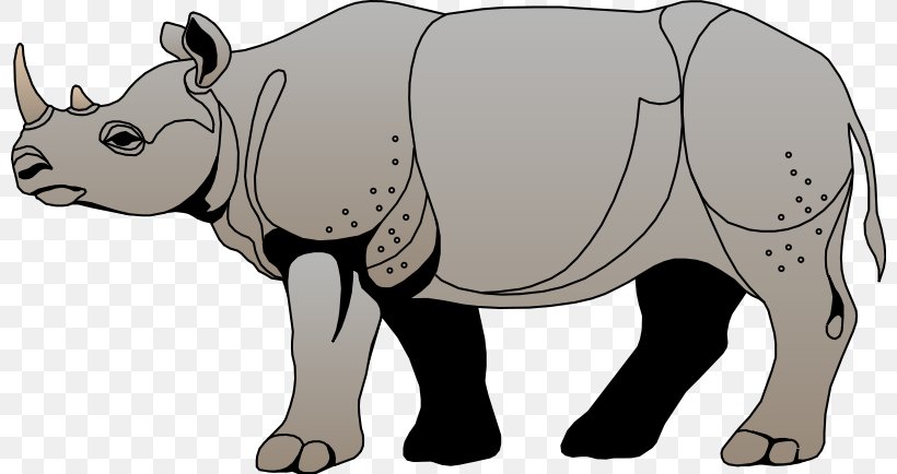 Black Rhinoceros Clip Art, PNG, 800x434px, Rhinoceros, Black And White, Black Rhinoceros, Blog, Cattle Like Mammal Download Free