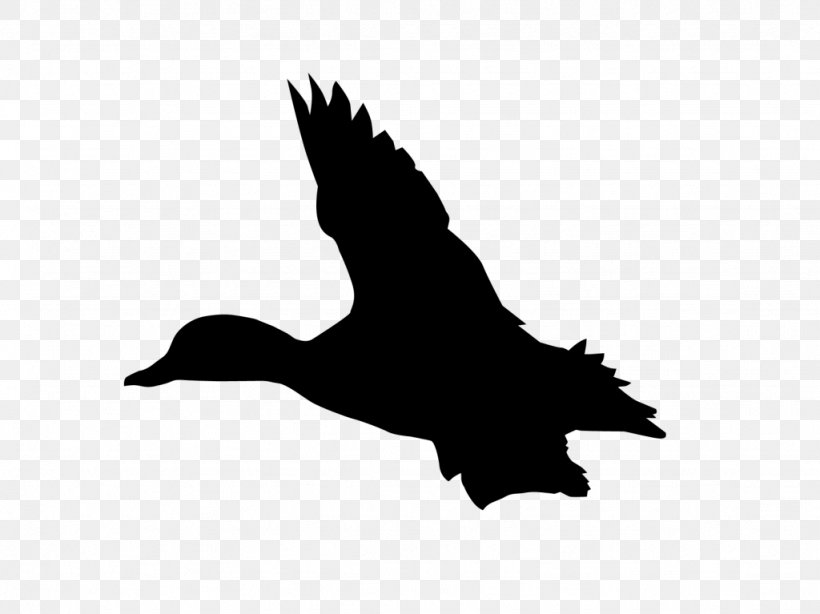 Duck Goose Clip Art Black & White, PNG, 1024x767px, Duck, Beak, Bird, Black White M, Blackandwhite Download Free