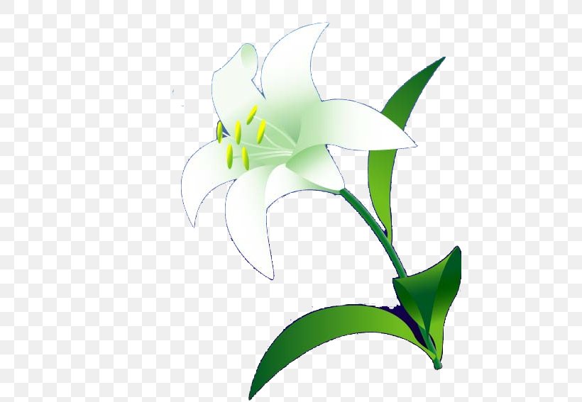 Lilium Flower Euclidean Vector, PNG, 481x567px, Lilium, Arum, Branch, Cut Flowers, Designer Download Free