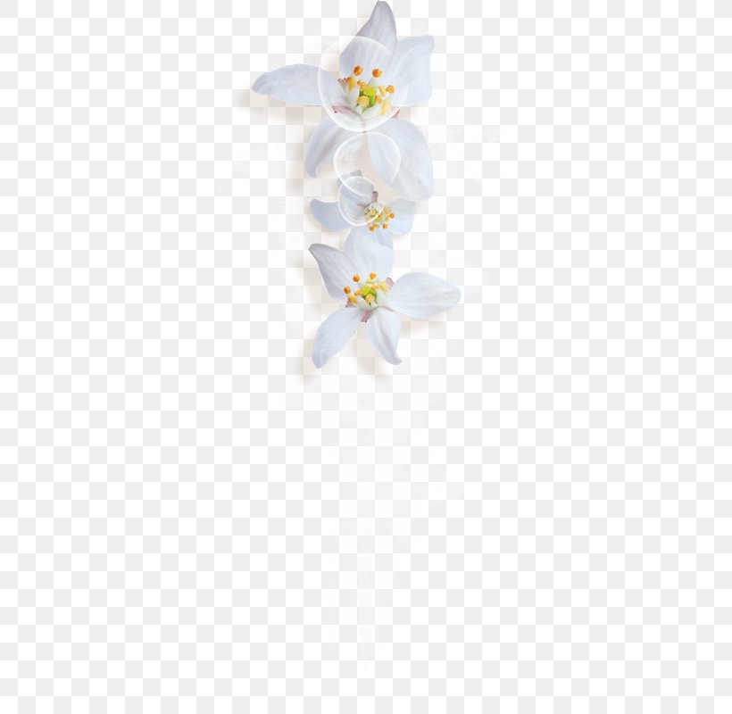Moth Orchids Cut Flowers Floral Design, PNG, 371x800px, Moth Orchids, Cut Flowers, Floral Design, Flower, Flowering Plant Download Free