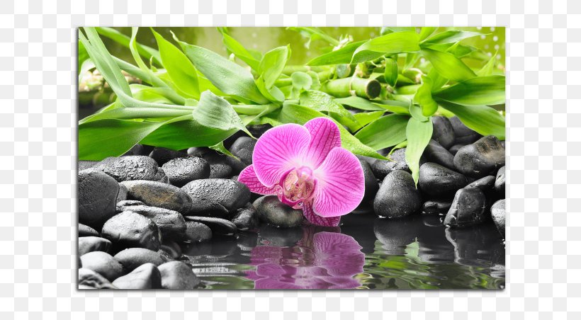 Stock Photography Flower Rock Zen Pebble, PNG, 613x452px, Stock Photography, Bamboo, Basalt, Can Stock Photo, Flora Download Free