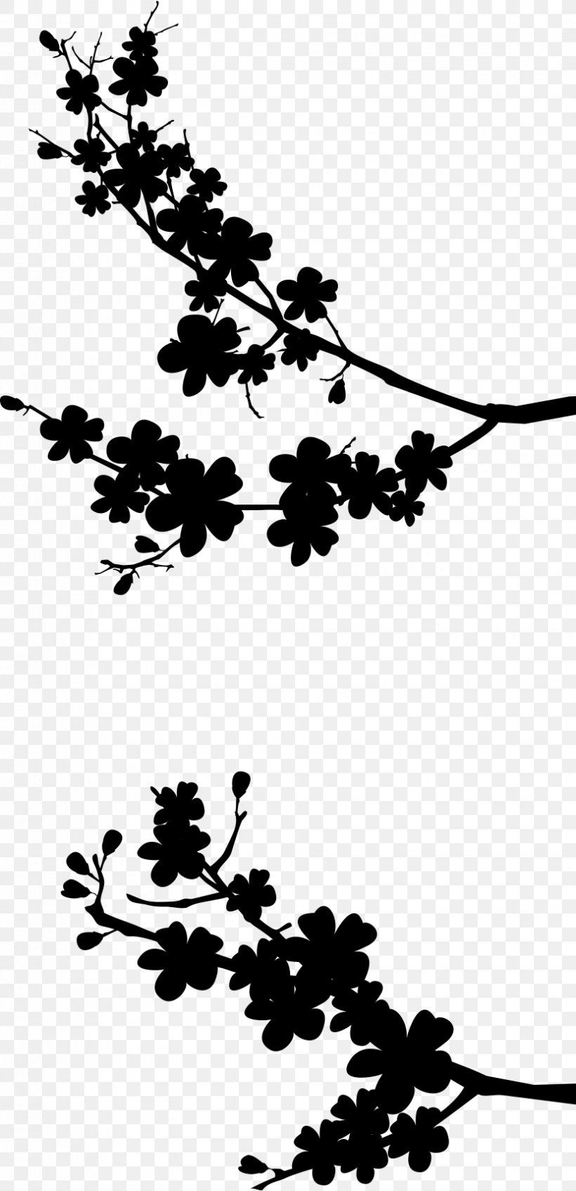 Twig Black Plant Stem Flower Leaf, PNG, 830x1716px, Twig, Black, Black M, Blackandwhite, Blossom Download Free