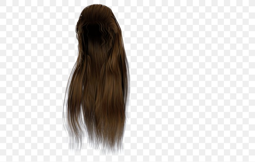 Hairstyle Brown Hair Hair Coloring Long Hair, PNG, 600x521px, Hair, Afrotextured Hair, Braid, Brown Hair, Bun Download Free