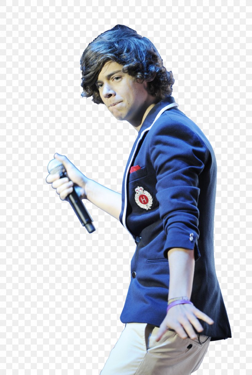 Harry Styles PhotoScape Image Editing, PNG, 900x1339px, Watercolor, Cartoon, Flower, Frame, Heart Download Free