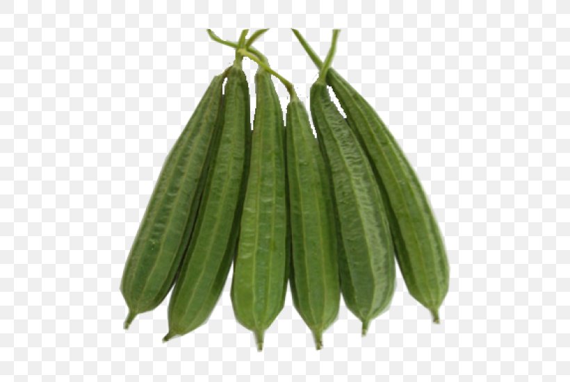 Luffa Acutangula Gourd Vegetable Rajma Cucurbitaceae, PNG, 500x550px, Luffa Acutangula, Cooking, Cucumber, Cucumber Gourd And Melon Family, Cucurbitaceae Download Free