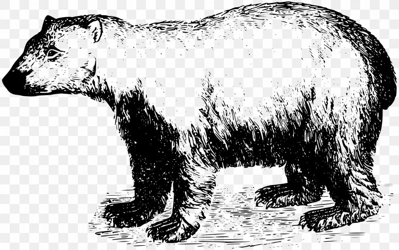 Polar Bear Arctic Brown Bear, PNG, 2400x1508px, Polar Bear, Animal Figure, Arctic, Bear, Black And White Download Free