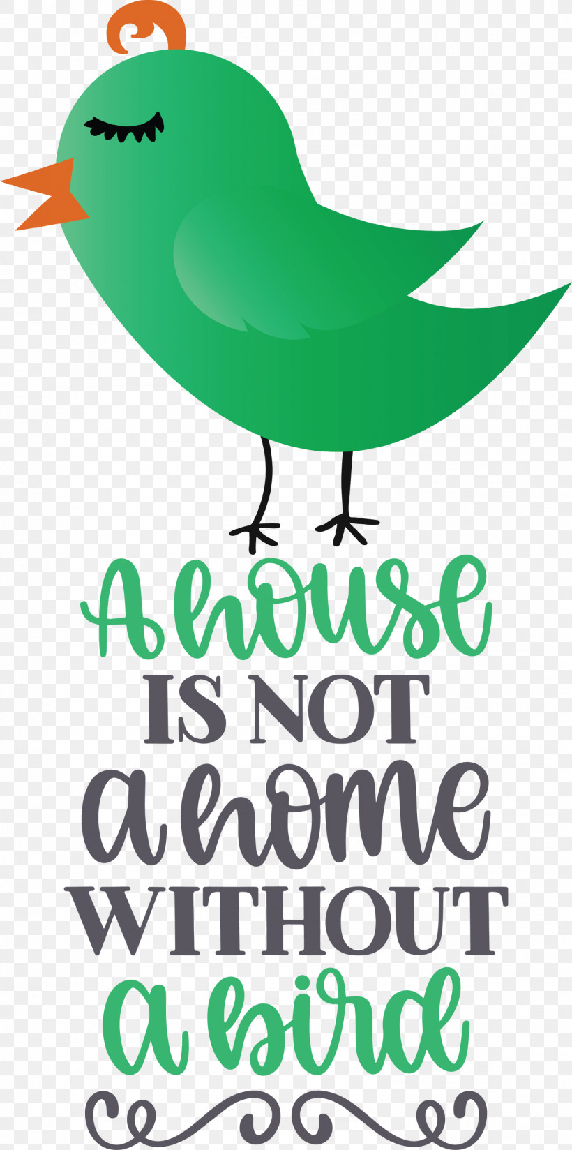 Bird Quote Bird Home, PNG, 1492x3000px, Bird, Beak, Birds, Green, Home Download Free