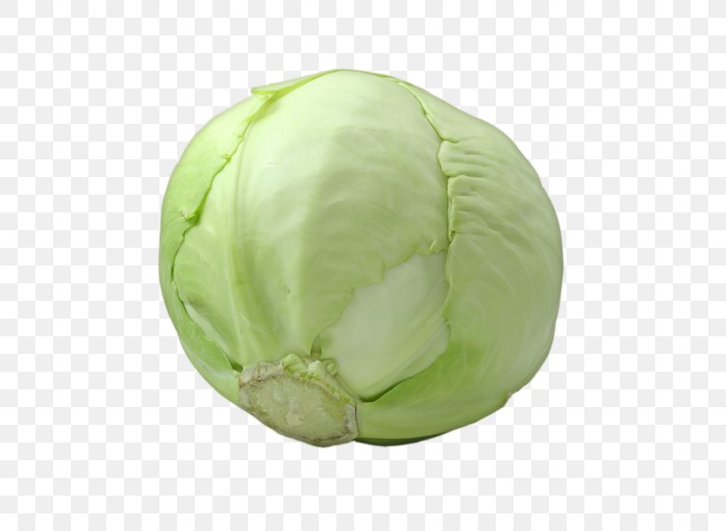 Capitata Group Stock Photography Organic Food Goat, PNG, 600x600px, Capitata Group, Cabbage, Chayote, Food, Fruit Download Free