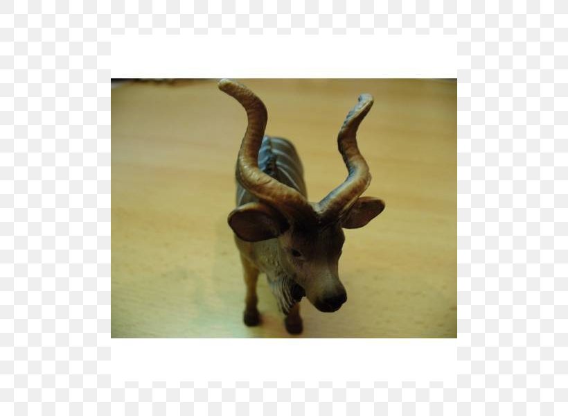 Reindeer Cattle Antelope Wildlife Terrestrial Animal, PNG, 800x600px, Reindeer, Animal, Antelope, Antler, Cattle Download Free
