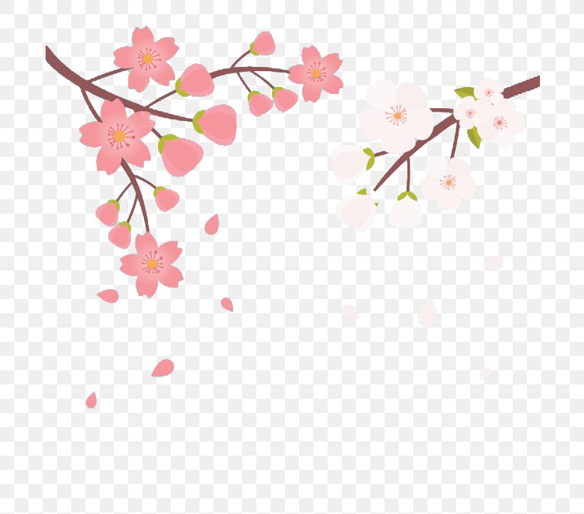 Sakura Sushi & Hibachi Cherry Blossom Color, PNG, 720x722px, Cherry Blossom, Advertising, Blossom, Branch, Color Download Free