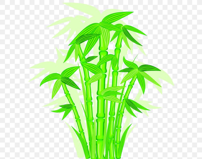 Bamboo Euclidean Vector, PNG, 600x647px, Bamboo, Flowerpot, Grass, Grass Family, Hemp Download Free
