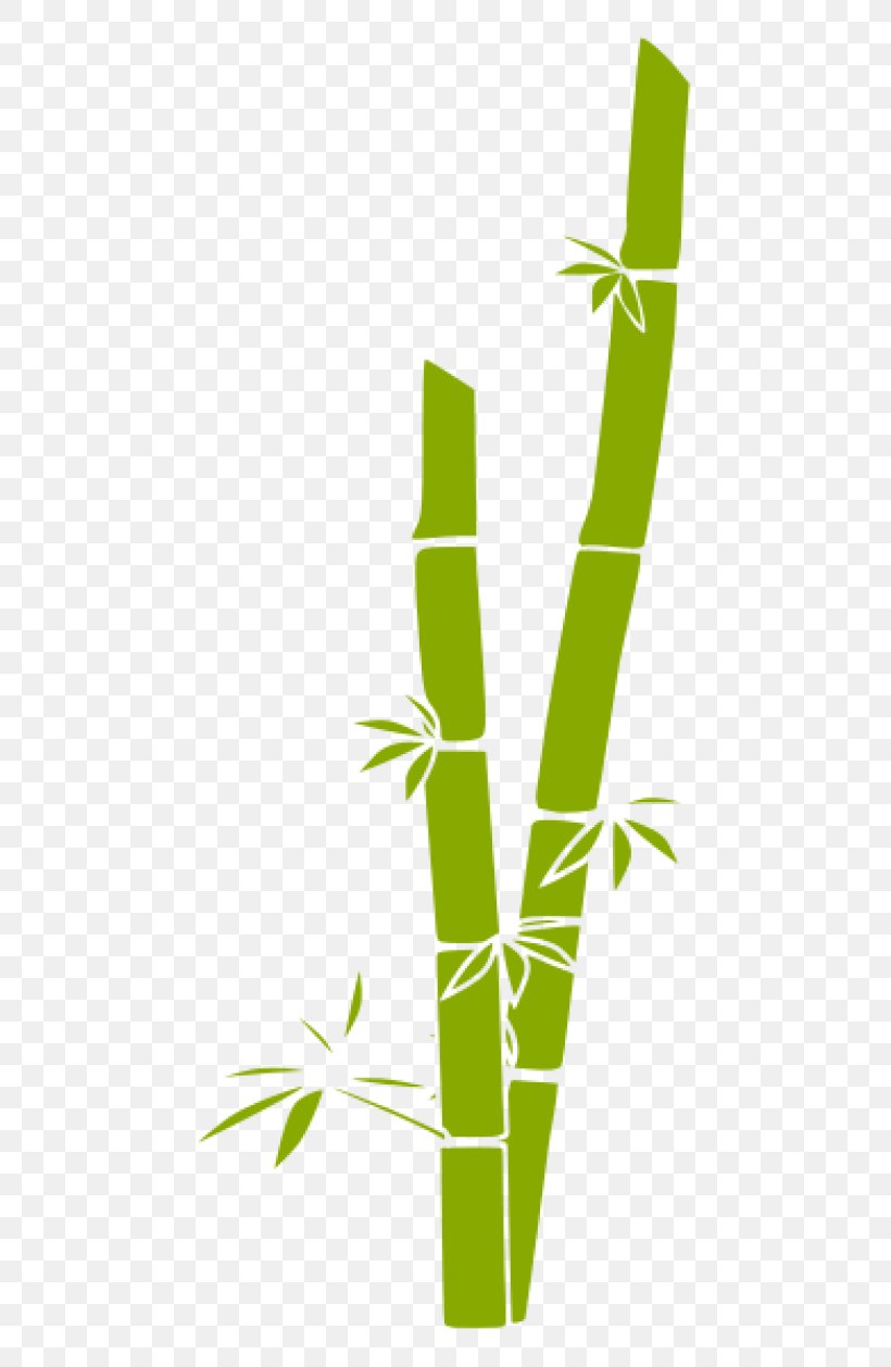 Bamboo Grasses Clip Art, PNG, 480x1258px, Bamboo, Energy, Grass, Grass Family, Grasses Download Free