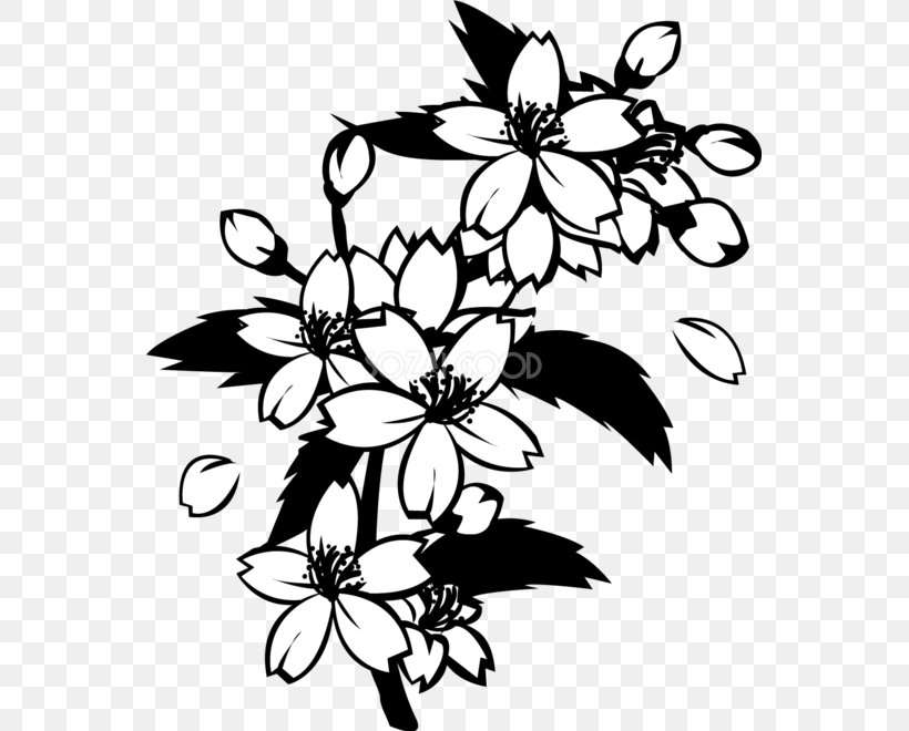 Black And White Monochrome Painting Cherry Blossom, PNG, 555x660px, Black And White, Art, Artwork, Branch, Cherry Blossom Download Free