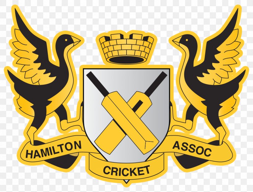New Zealand National Cricket Team Northern Districts Cricket Team Logo Hamilton, PNG, 1000x760px, New Zealand National Cricket Team, Badge, Ball, Bowling Cricket, Brand Download Free