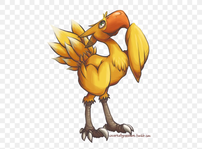 Rooster Beak Carnivora Clip Art, PNG, 500x605px, Rooster, Art, Beak, Bird, Carnivora Download Free