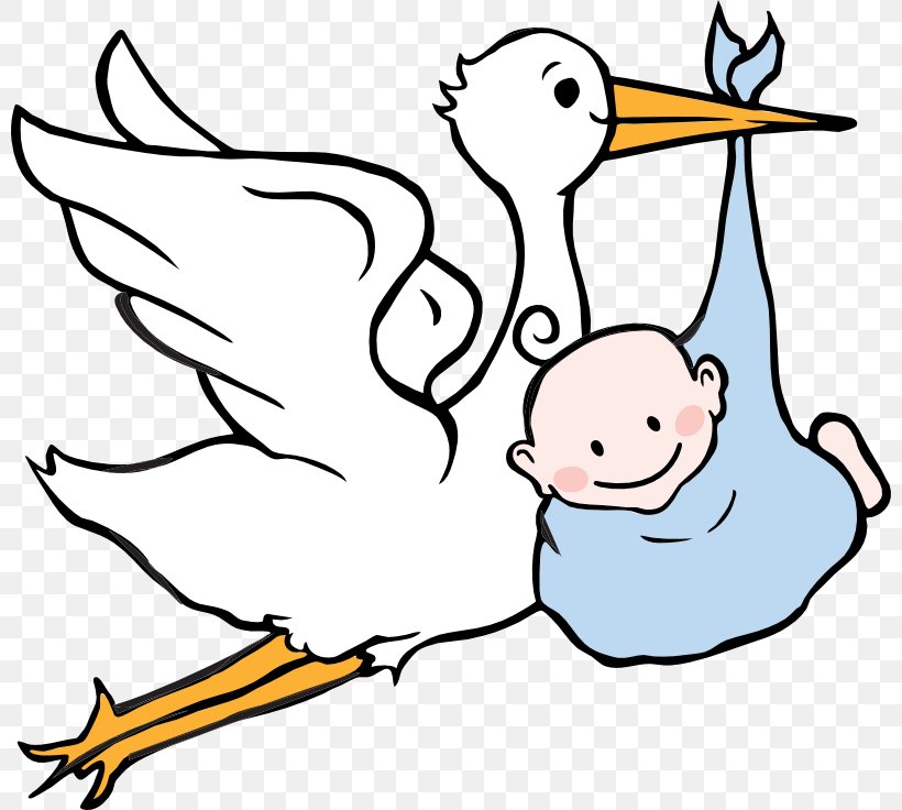 White Stork Infant Clip Art, PNG, 800x736px, White Stork, Area, Art, Artwork, Baby Announcement Download Free