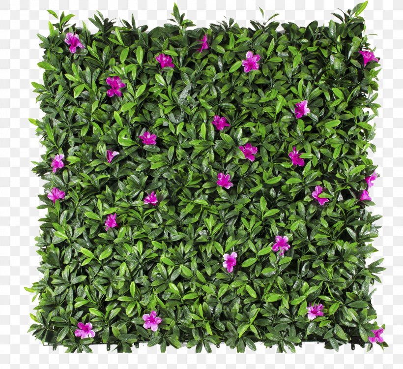 Follaje Green Wall Garden Hedge, PNG, 1360x1245px, Follaje, Balcony, Flower, Flower Garden, Flowering Plant Download Free