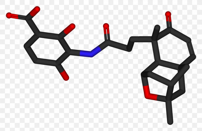 Platensimycin Clip Art, PNG, 1000x651px, Web Browser, Area, Brand, Computer Graphics, Internet Explorer Download Free