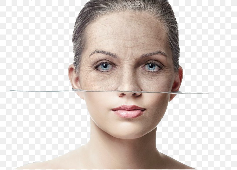 Anti-aging Cream Wrinkle Face Ageless, PNG, 754x591px, Cream, Ageing, Ageless, Antiaging Cream, Beauty Download Free