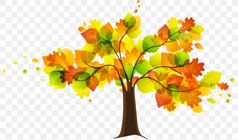 Autumn Free Content Clip Art, PNG, 800x482px, Autumn, Autumn Leaf Color, Blog, Branch, Floral Design Download Free