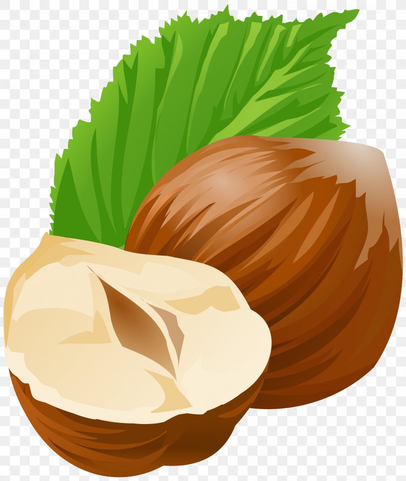 Coconut, PNG, 2532x3000px, Hazelnut, Chestnut, Coconut, Food, Leaf Download Free