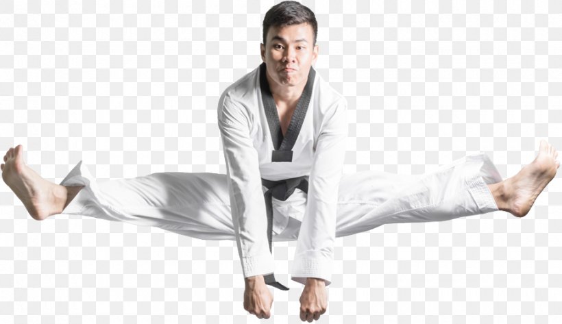 Karate Dobok Flying Kick Taekwondo, PNG, 920x531px, Karate, Alamy, Arm, Bill Wallace, Black Belt Download Free