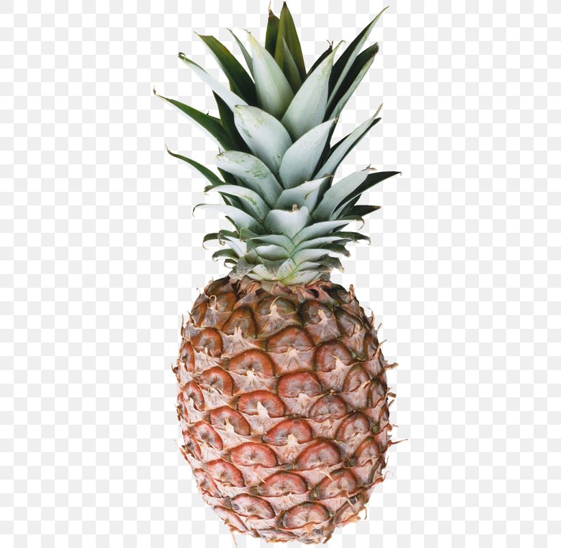 Pineapple Juice Piña Colada Smoothie Pineapple Juice, PNG, 374x800px, Pineapple, Ananas, Bromeliaceae, Canning, Flowerpot Download Free