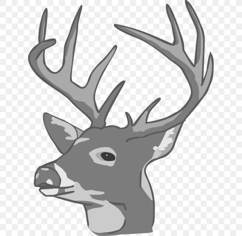 White-tailed Deer Moose Reindeer Elk, PNG, 629x800px, Deer, Antler, Black And White, Drawing, Elk Download Free