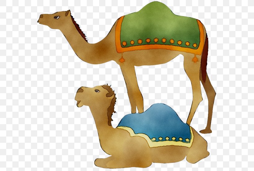 Dromedary Nativity Scene Christmas Day Design Animal, PNG, 600x551px, Dromedary, Animal, Animal Figure, Arabian Camel, Camel Download Free