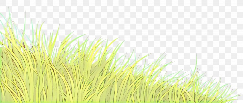 Grass Green Grass Family Plant Grassland, PNG, 3505x1495px, Cartoon, Grass, Grass Family, Grassland, Green Download Free