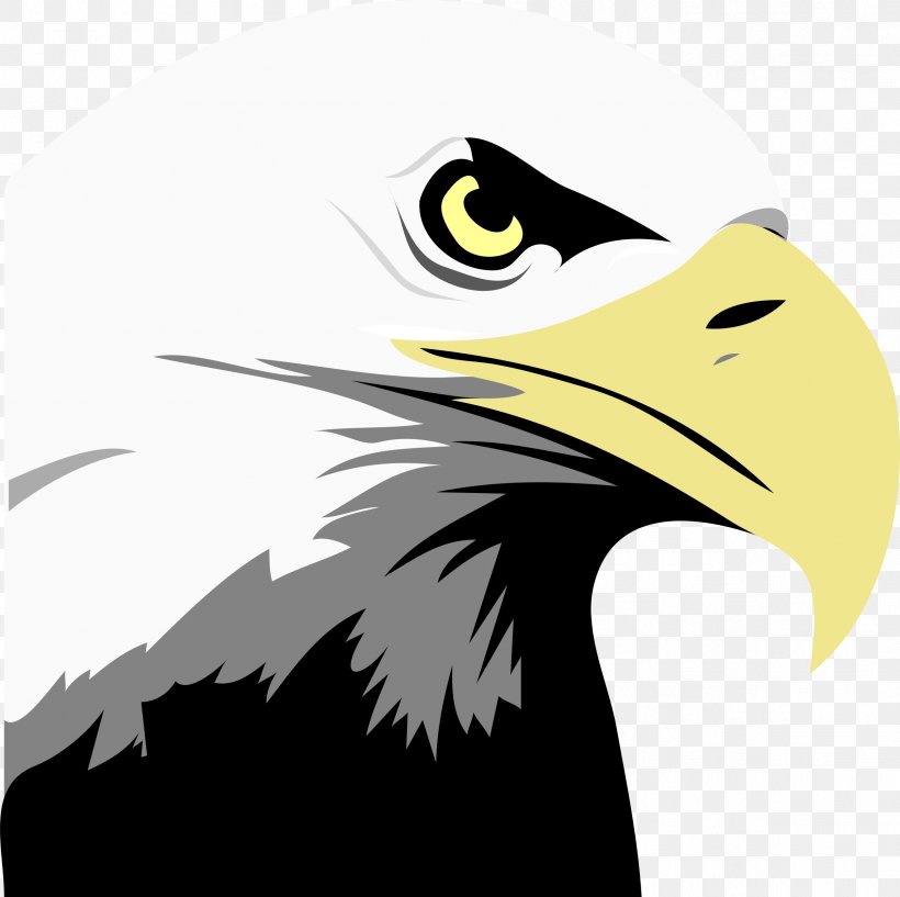 Bald Eagle Bird Clip Art, PNG, 2406x2400px, Bald Eagle, Accipitriformes, Art, Beak, Bird Download Free
