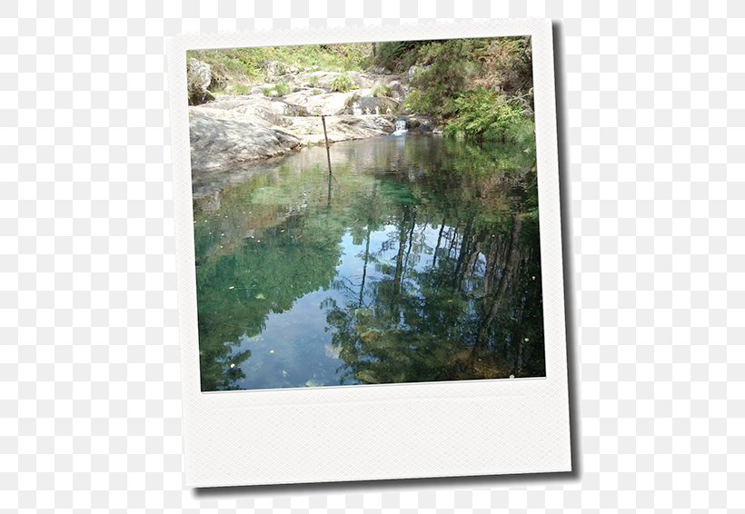 Bayou Water Resources Nature Reserve Wetland Picture Frames, PNG, 500x566px, Bayou, Bank, Fluvial Landforms Of Streams, Grass, Inlet Download Free