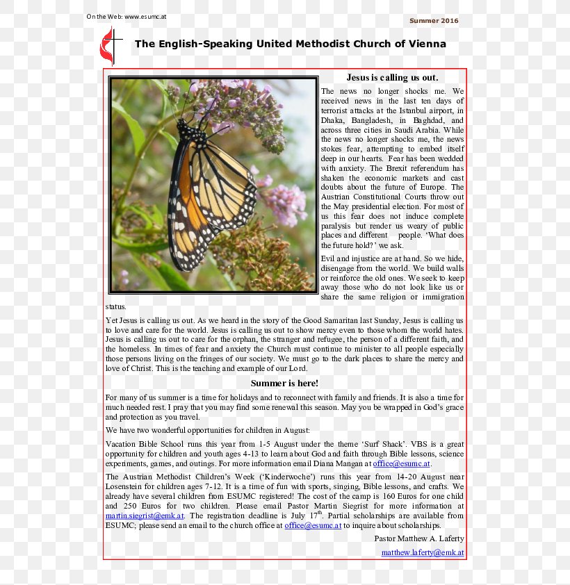 Brush-footed Butterflies Butterfly Fauna Ecosystem, PNG, 595x842px, Brushfooted Butterflies, Brush Footed Butterfly, Butterfly, Ecosystem, Fauna Download Free