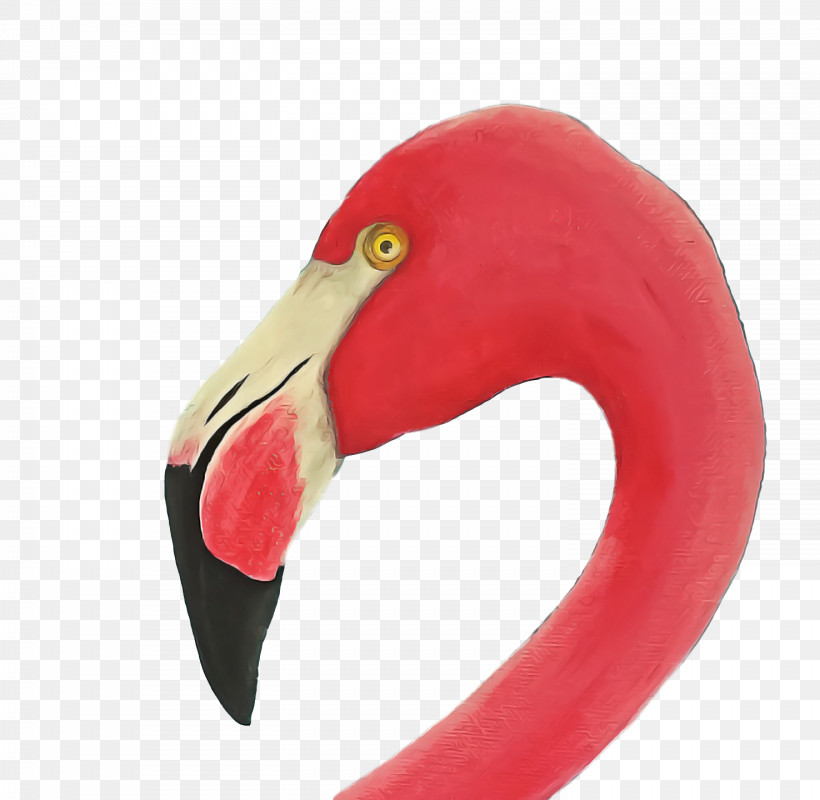 Flamingo, PNG, 1476x1440px, Beak, Flamingo Download Free