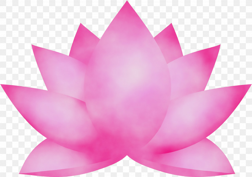 Lotus, PNG, 2994x2102px, Lotus, Aquatic Plant, Flower, Lotus Family, Magenta Download Free