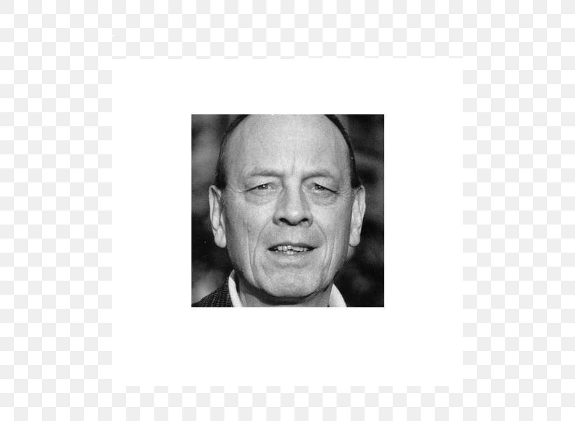 Nose Chin Picture Frames Forehead Jaw, PNG, 800x600px, Nose, Black And White, Chin, Facial Expression, Forehead Download Free