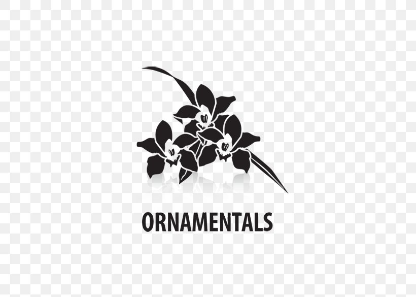 Nutrient Antitranspirant Logo Plant Root, PNG, 585x585px, Nutrient, Black And White, Brand, Dietary Supplement, Leaf Download Free