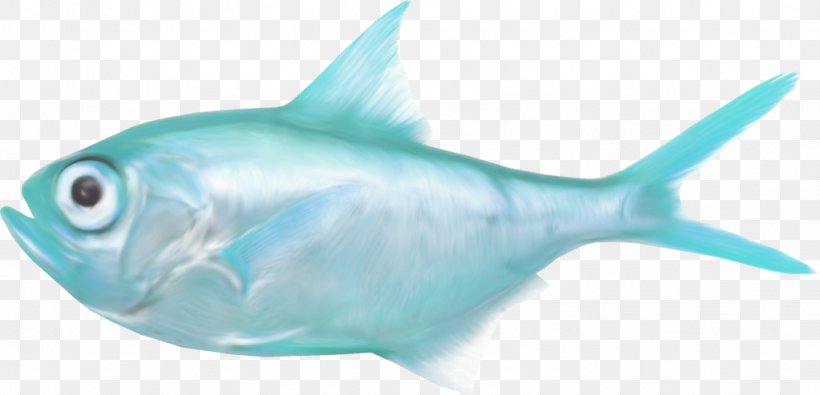 Shark Saltwater Fish Sea Clip Art, PNG, 1024x494px, Shark, Animal, Aqua, Blue, Cartilaginous Fish Download Free