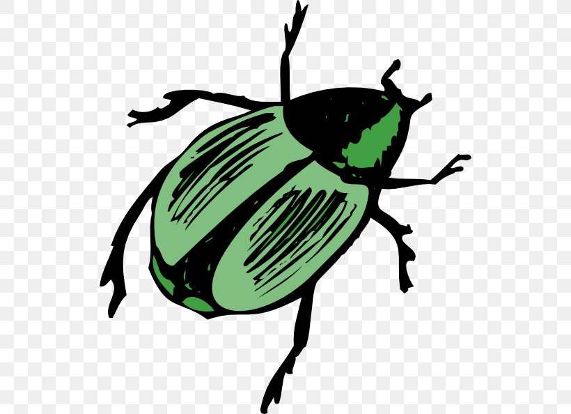 Volkswagen Beetle Clip Art, PNG, 534x594px, Beetle, Arthropod, Artwork, Colorado Potato Beetle, Cucumber Beetle Download Free