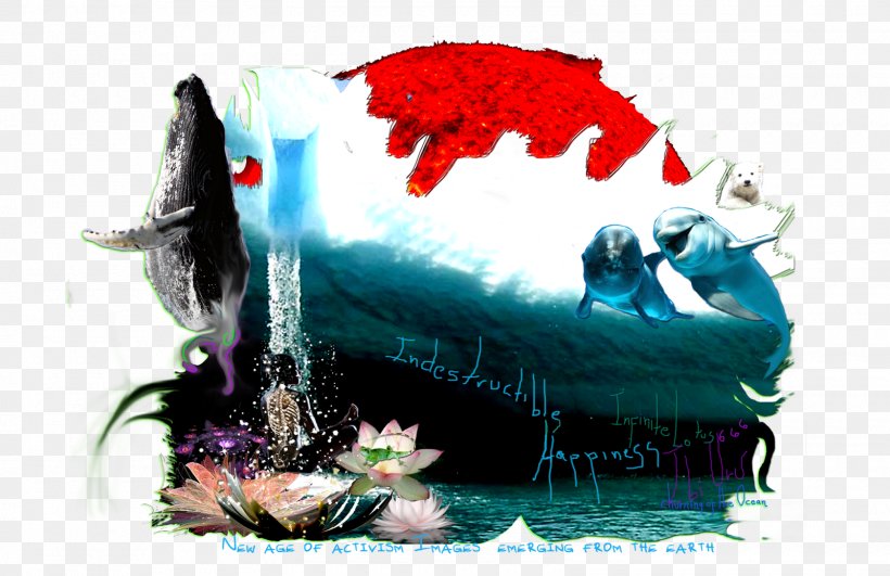 Fish Humpback Whale Cetacea, PNG, 1600x1038px, Fish, Cake, Cetacea, Humpback Whale, Organism Download Free