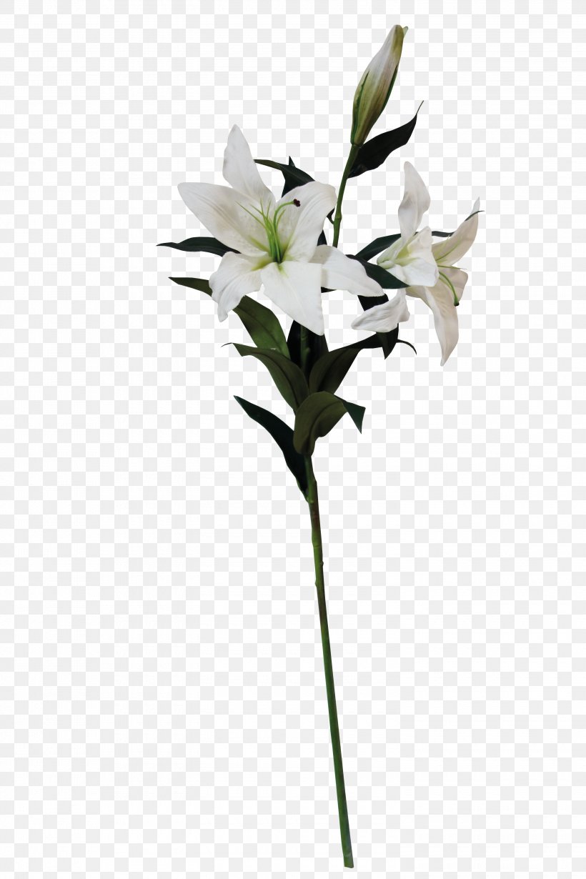 Lilium Flower Graphic Design, PNG, 3000x4500px, Lilium, Branch, Cut Flowers, Designer, Flora Download Free