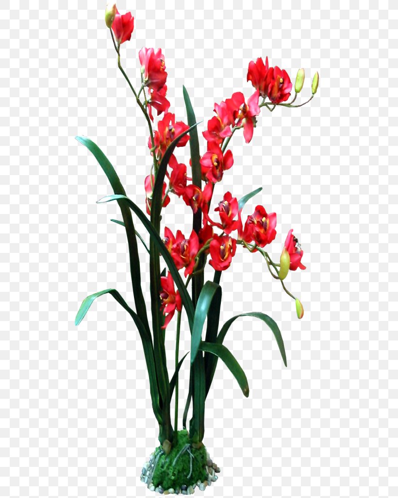 Cut Flowers Google Images Floral Design, PNG, 512x1024px, Flower, Cut Flowers, Deviantart, Drawing, Floral Design Download Free